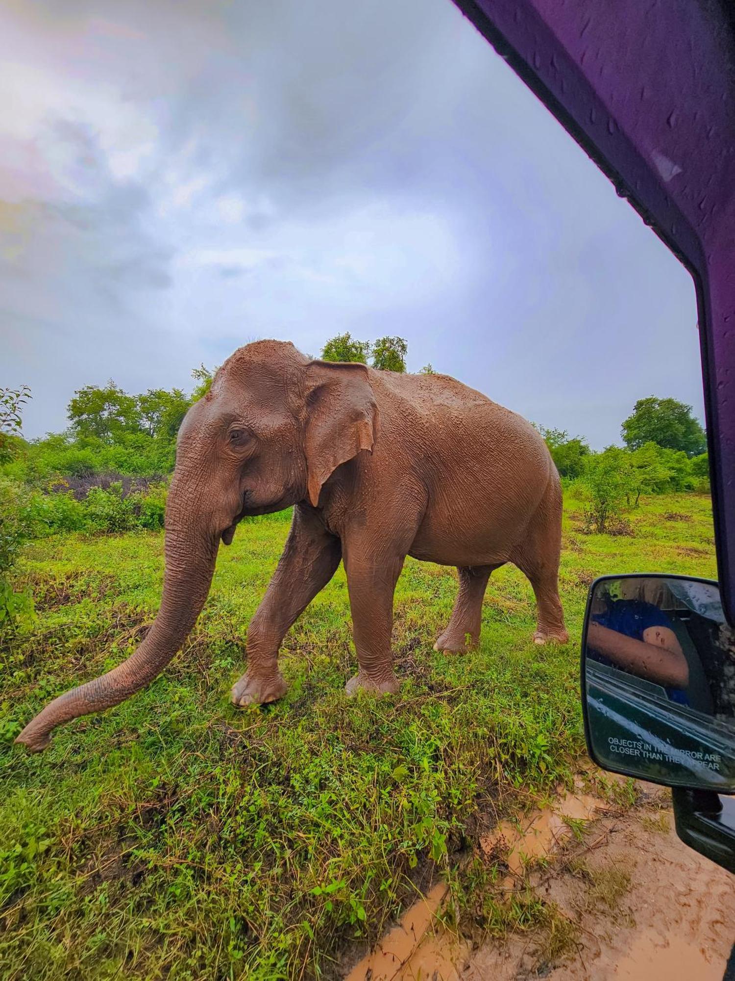 Bright Sun Safari Hotel อุดาวาลาเว ภายนอก รูปภาพ